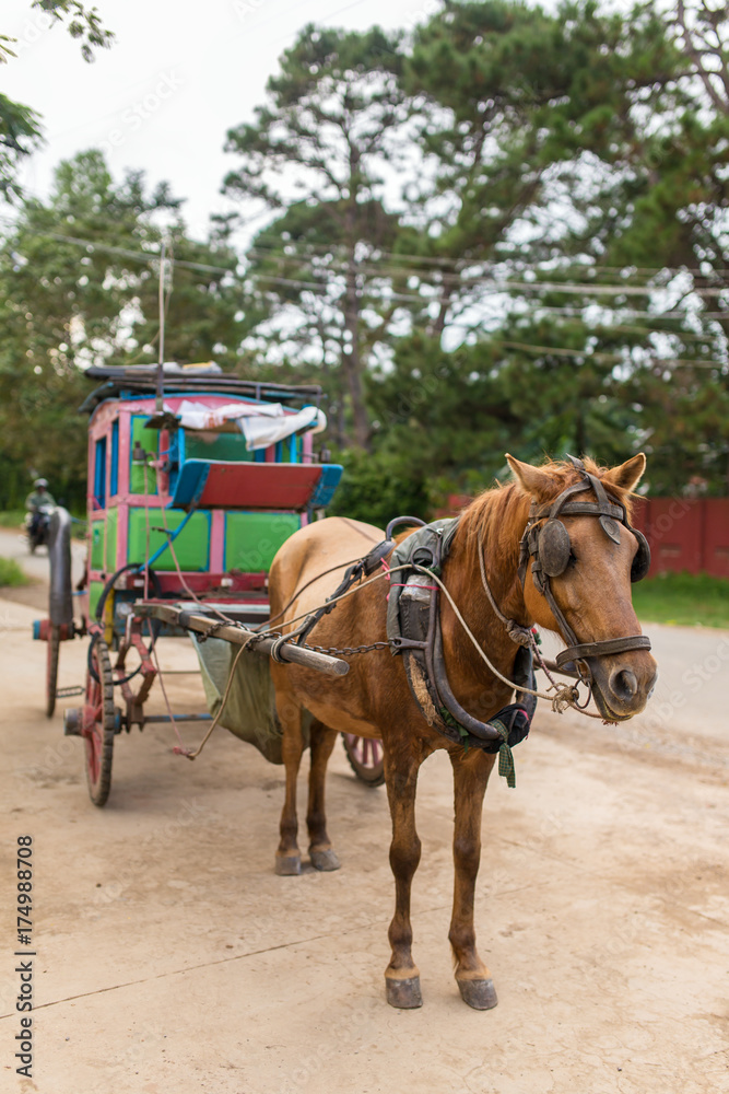 The old style horse cart at Pyin oo lwin, Myanmar.