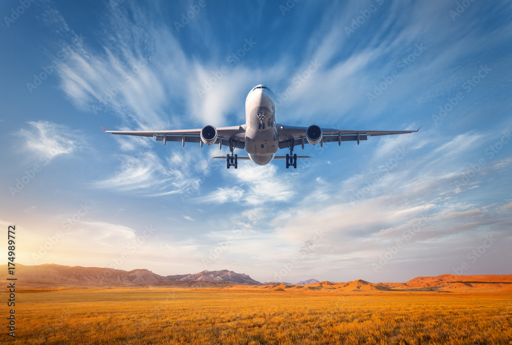 Fototapeta premium Airplane. Colorful landscape with passenger airplane is flying in the blue sky with clouds over grass field in mountain valley at sunset in summer. Passenger airplane is landing. Commercial aircraft