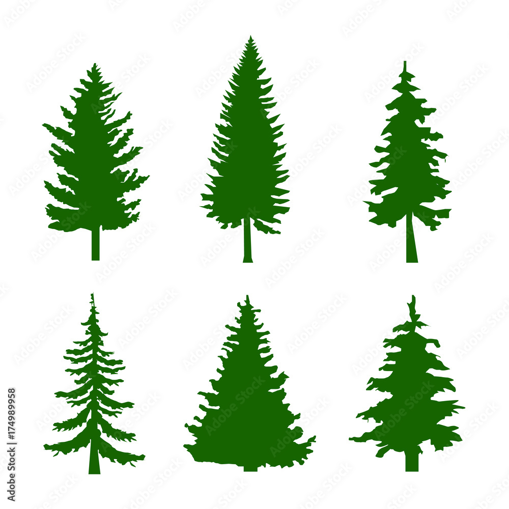 Set of Green Silhouettes of Pine Trees on White Background Vector illustration