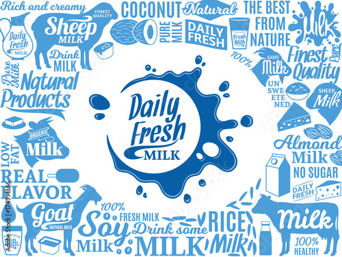 Vector milk illustration