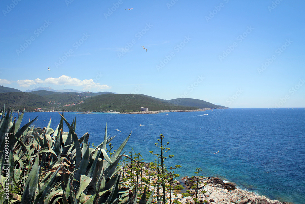 Adriatic Sea view near fort Mamula, Montenegro Adriatic Sea view near fort Mamula, Montenegro