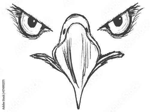eyes of eagle