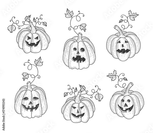Collection of graphic hand drawn pumkins for your design