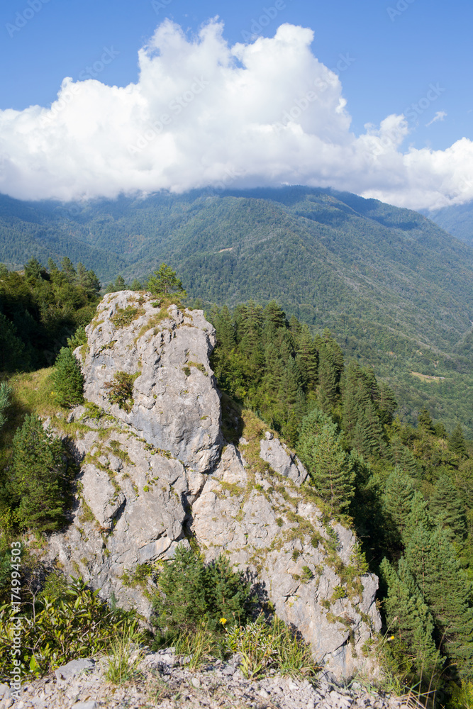 Naklejka premium Mountain peaks and trees