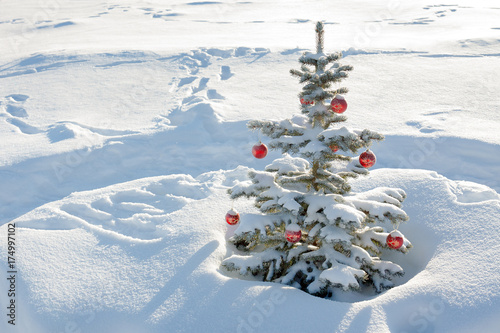 winter landscape with Christmas and new year fir tree decoration red ball and snow