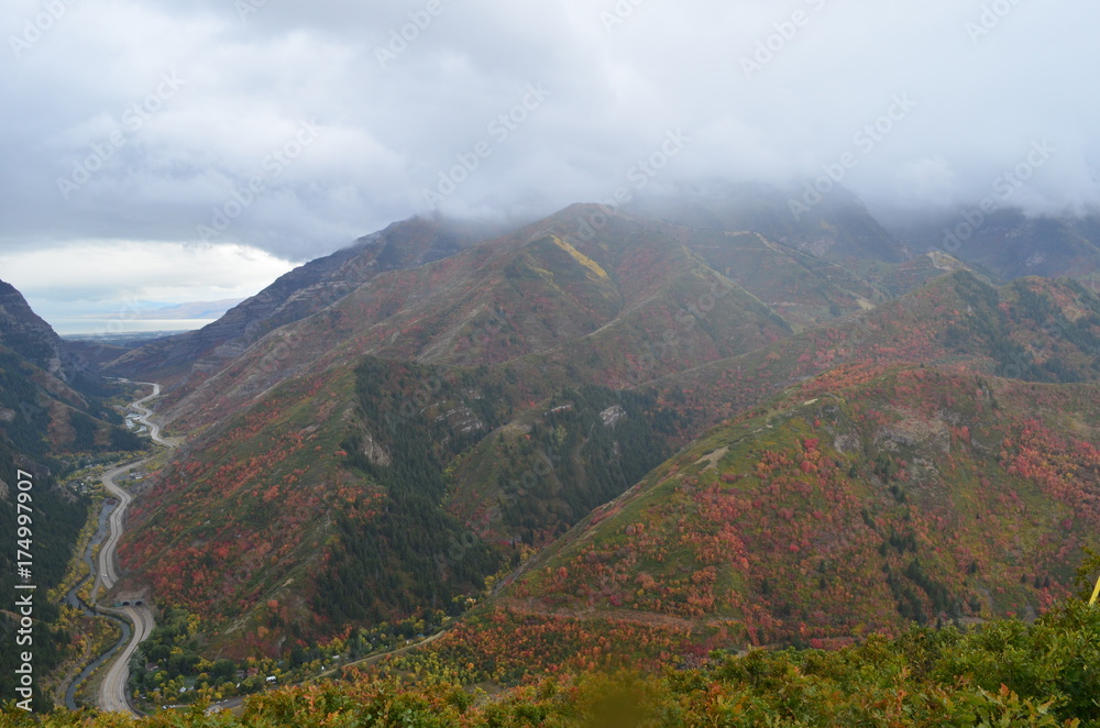 Naklejka premium Fall 2017