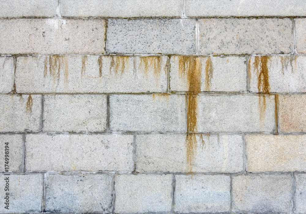 Fototapeta premium gray stone wall texture