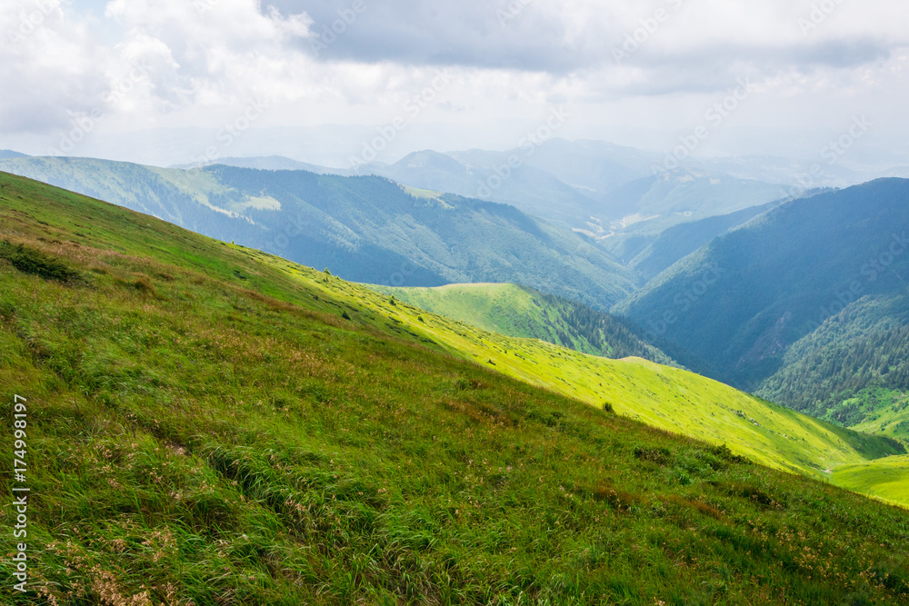 green mountains of Ukraine, Carpathians