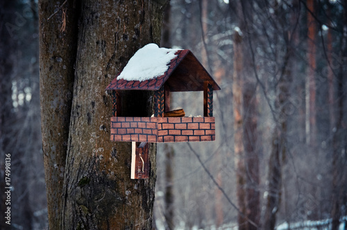 wooden birdhouse attached to a tree in winter forest