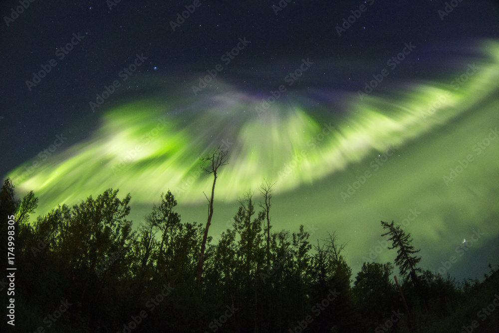 northern lights northern lights