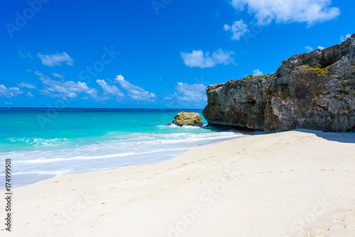 Bottom Bay, Barbados - Paradise beach on the Caribbean island of Barbados. Tropical coast with palms hanging over turquoise sea. Panoramic photo of beautiful landscape.