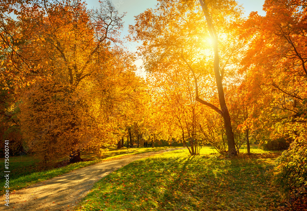 Autumn landscape