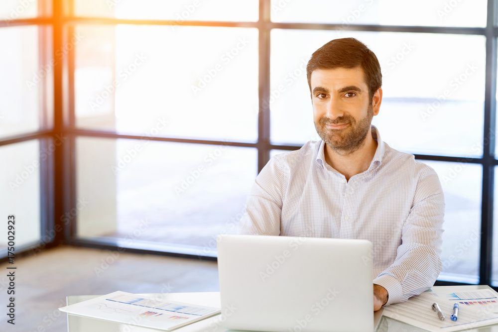 Handsome businessman working at computer Handsome businessman working at computer