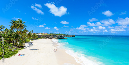 Bottom Bay  Barbados - Paradise beach on the Caribbean island of Barbados. Tropical coast with palms hanging over turquoise sea. Panoramic photo of beautiful landscape.