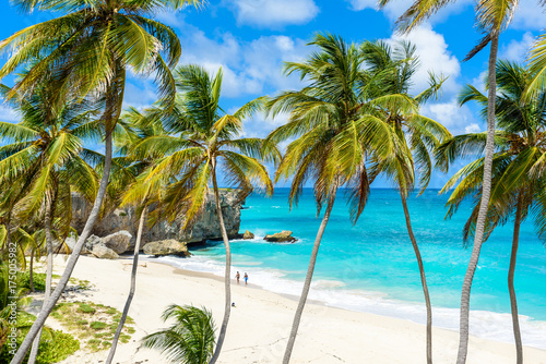 Bottom Bay, Barbados - Paradise beach on the Caribbean island of Barbados. Tropical coast with palms hanging over turquoise sea. Panoramic photo of beautiful landscape. © Simon Dannhauer
