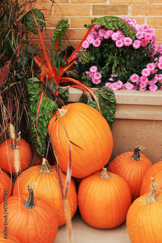 Agriculture and farming background. Harvest concept. Ripe pumpkins for sale. New crop pumpkins on a red brick wall background at the farmers market. Vertical shot.
