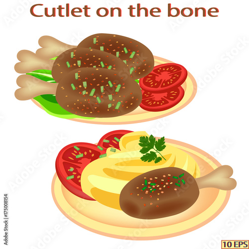 Meatballs and mashed potatoes. Steak grilled. Meat rissole, potato, green vegetables and tomatoes in the plate. Fried cutlet and garnish. Vector illustration.