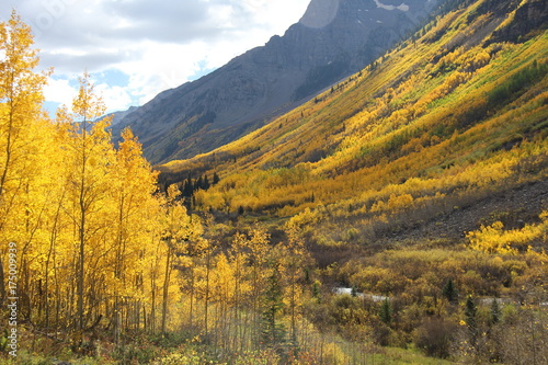 Fall Colors, Aspen, Colorado © Jcon