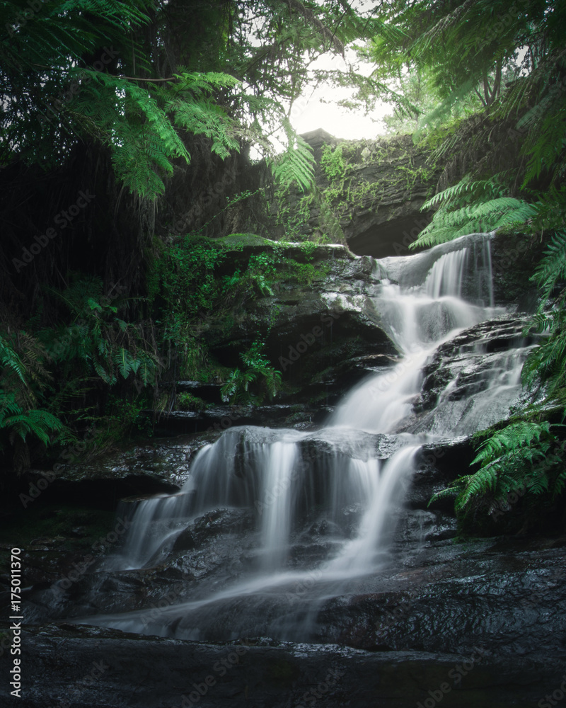Smooth flowing water over rocks of Leura Cascades in the lush rainforest of Blue Mountains, Australia. Smooth flowing water over rocks of Leura Cascades in the lush rainforest of Blue Mountains, Australia.