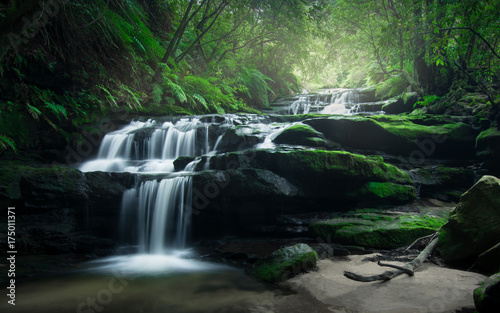 Smooth flowing water over rocks of Leura Cascades in the lush rainforest of Blue Mountains  Australia. 