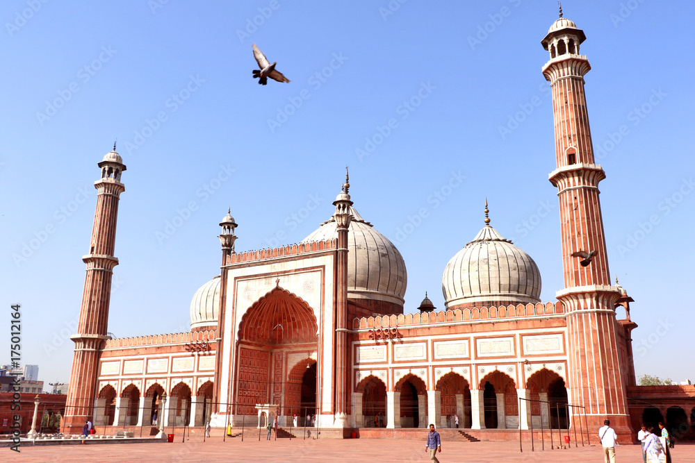 Obraz na plátně Jama Masjid of Delhi, is one of the largest mosques in India.