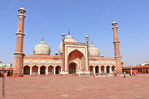 Jama Masjid of Delhi, is one of the largest mosques in India. 