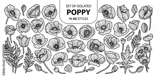 Set of isolated poppy in 42 styles. Cute hand drawn vector illustration in black outline and white plane.