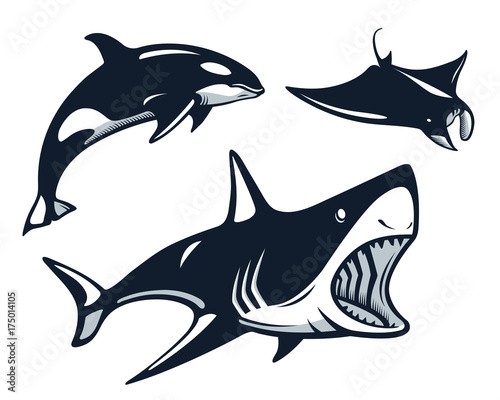 Vintage Fish Logo Set Illustration