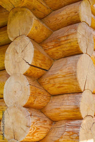 Wooden texture close up