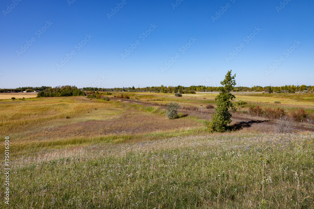 Railroad Track and Trees on Prairie Under Blue Sky