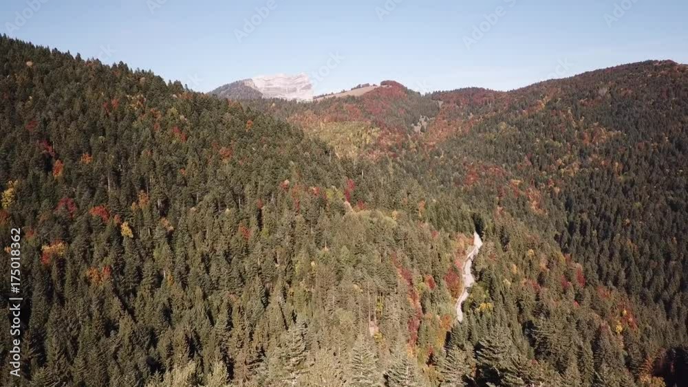 Vol au dessus des sapins en Chartreuse