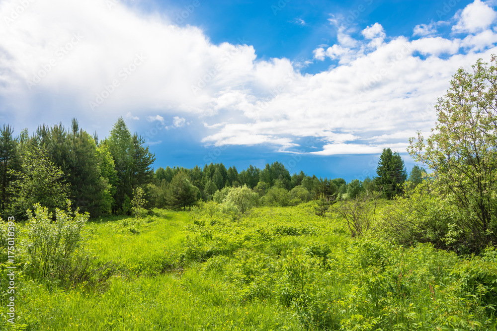 Summer landscape with cloudy sky. Summer landscape with cloudy sky.