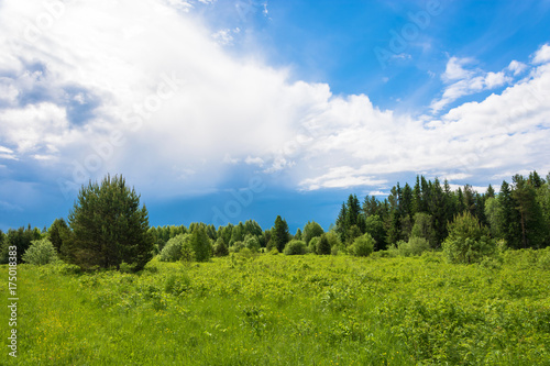 Summer landscape with cloudy sky.