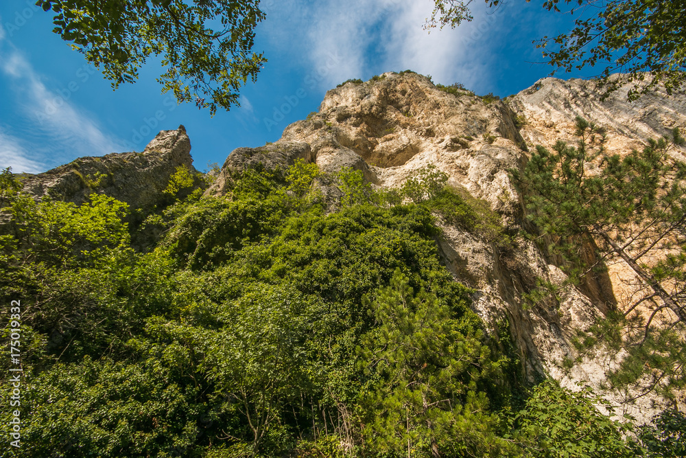 Vetta rocciosa nei pressi della gola del Furlo, Marche Vetta rocciosa nei pressi della gola del Furlo, Marche