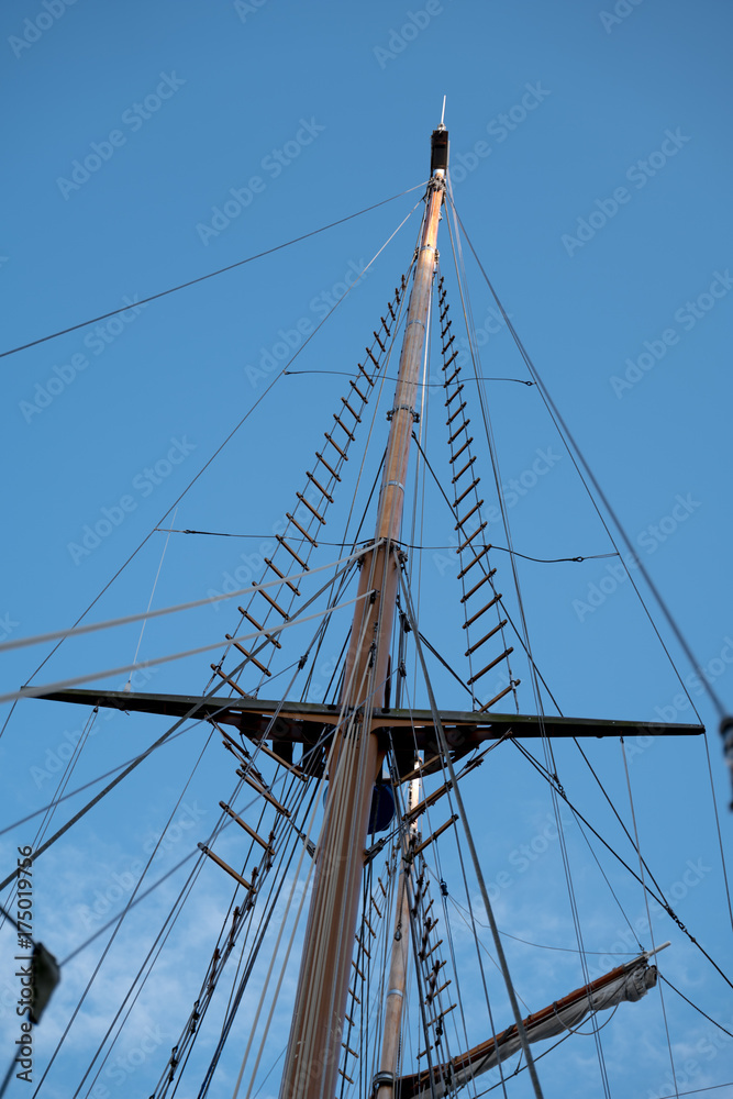 Obraz premium Sailing sails