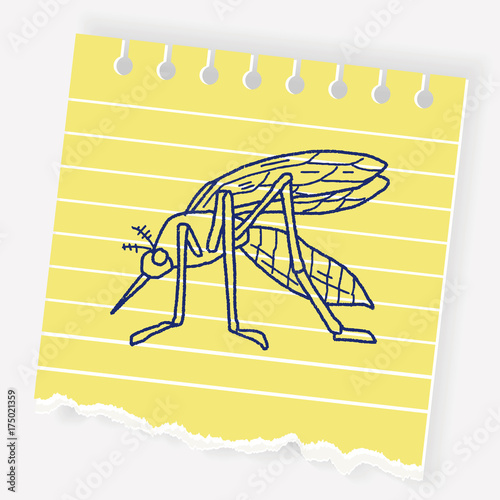mosquito doodle