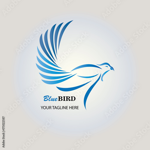 Bird Logo Vector Illustration