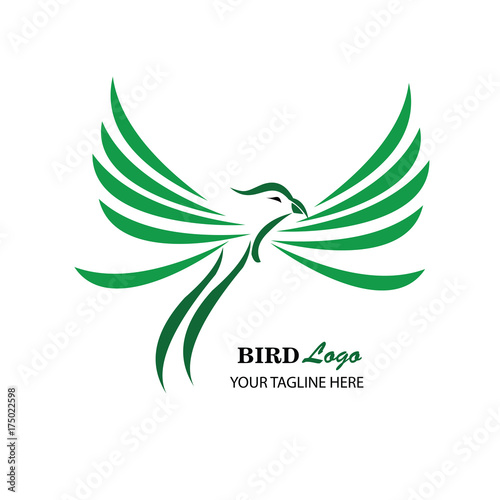 Bird Logo Vector Illustration