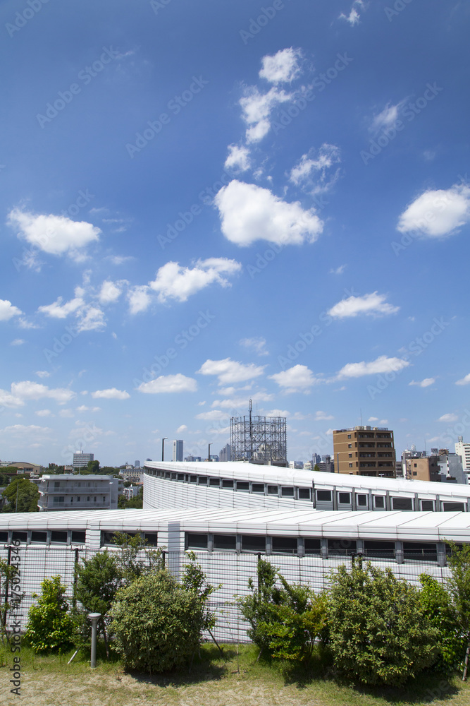 Fototapeta premium 目黒天空庭園から見た首都高速