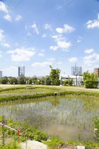 目黒天空庭園 おおはし里の杜