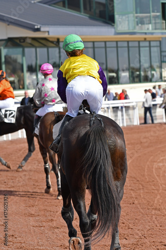 trot monté photo