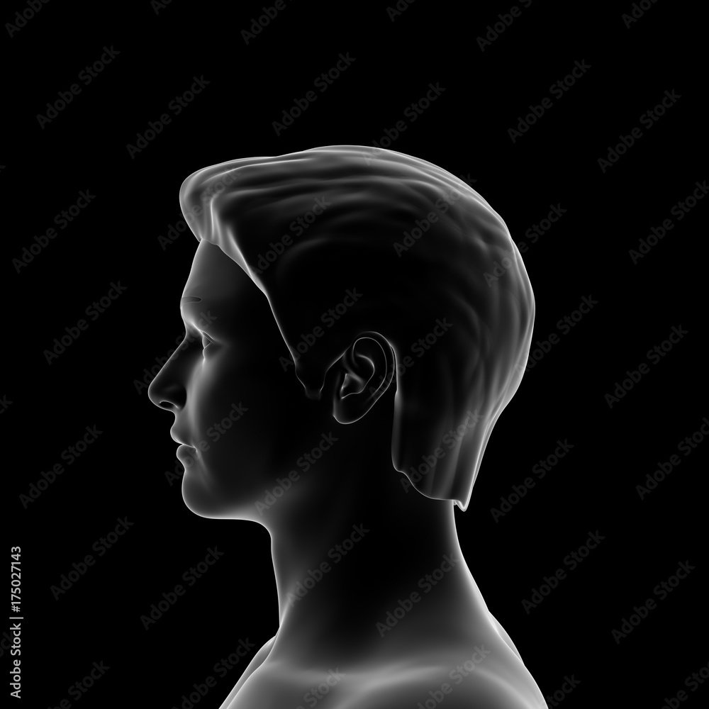 Obraz premium Human Head, Man