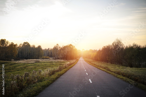 autumn road 