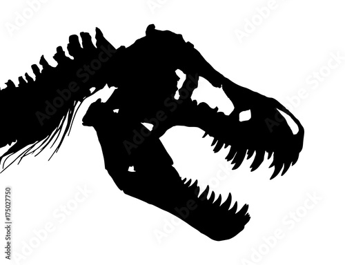 Skeleton of Tyrannosaurus rex ( T-rex ) ( Skull and Neck ) . Vector