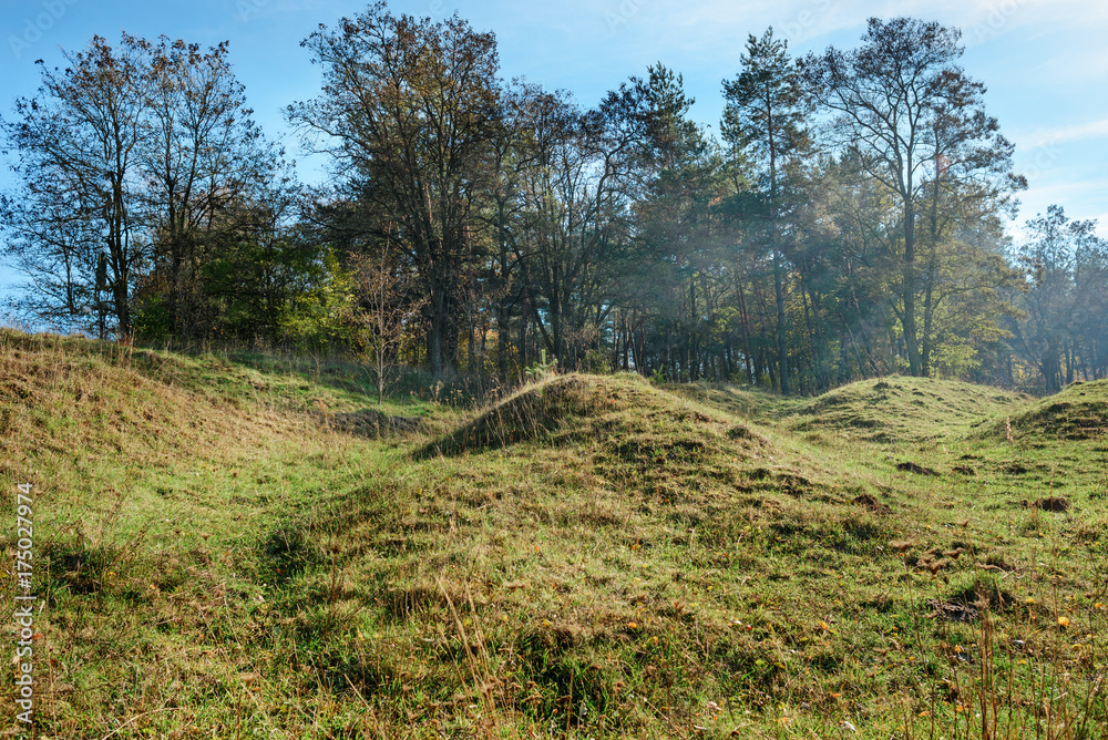 Landscape with autumn forest upon green grassland hills