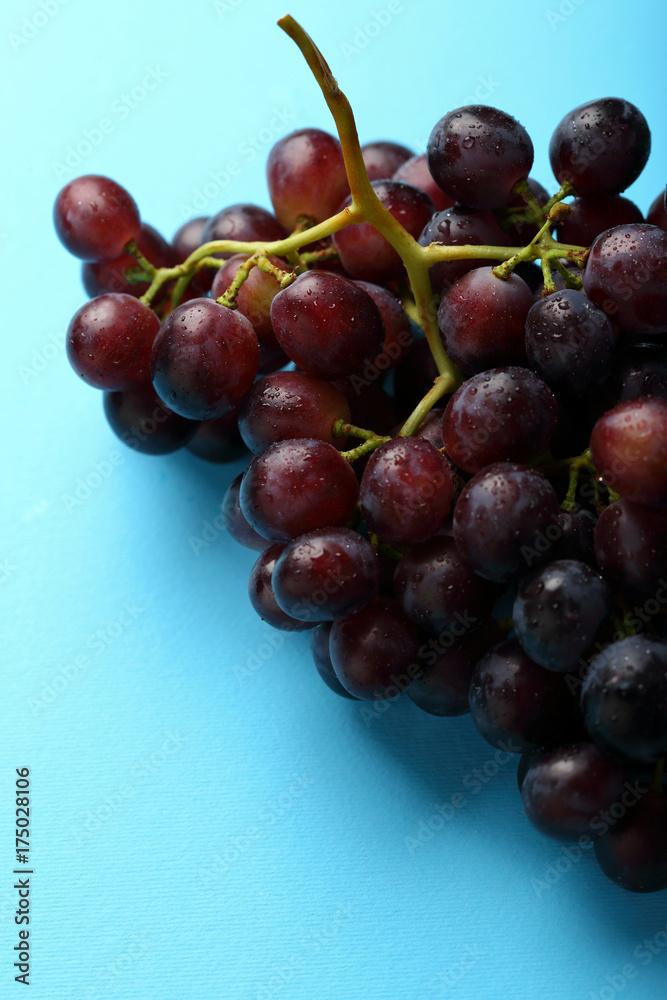 Grapes on blue