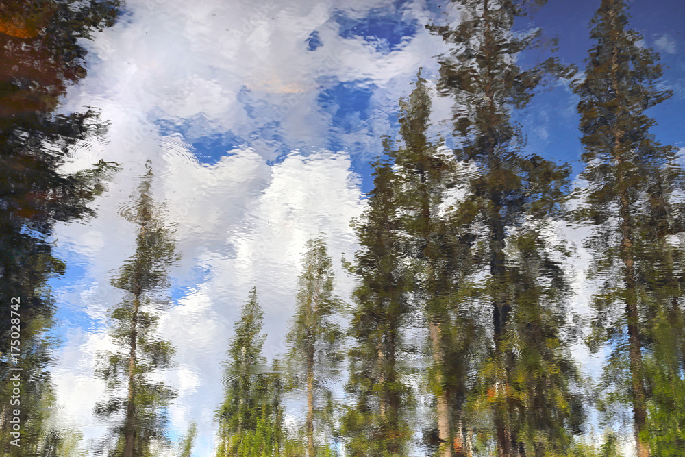 Reflections