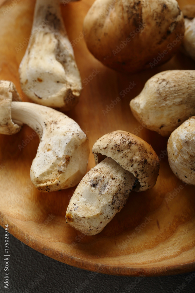 Raw Forest mushrooms on wood plate