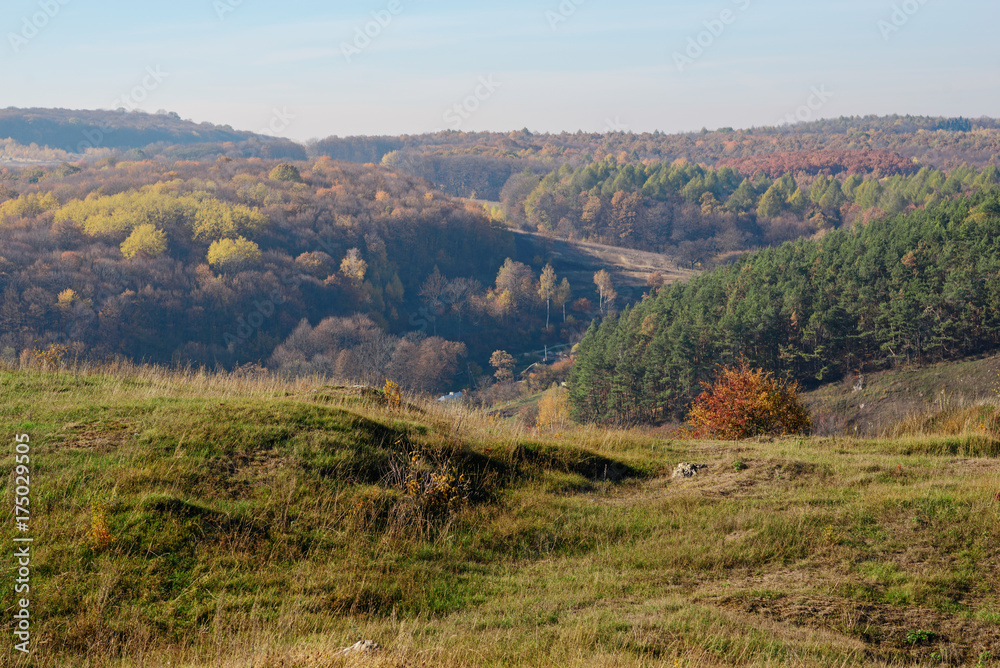 Naklejka premium View on the beautiful colorful autumn landscape of the hills and greenfields with trees and grass upon the countryside
