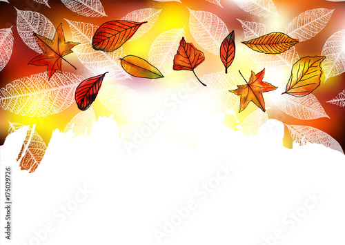 Vector autumn background with leaves and copy space